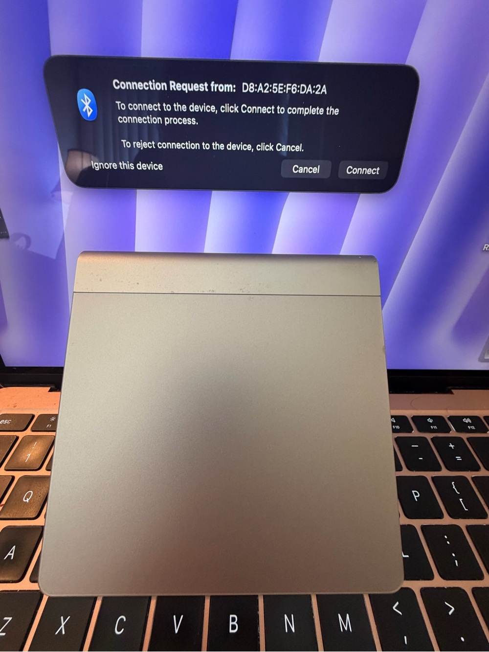 Apple Silver/Gray Wireless Magic Trackpad
